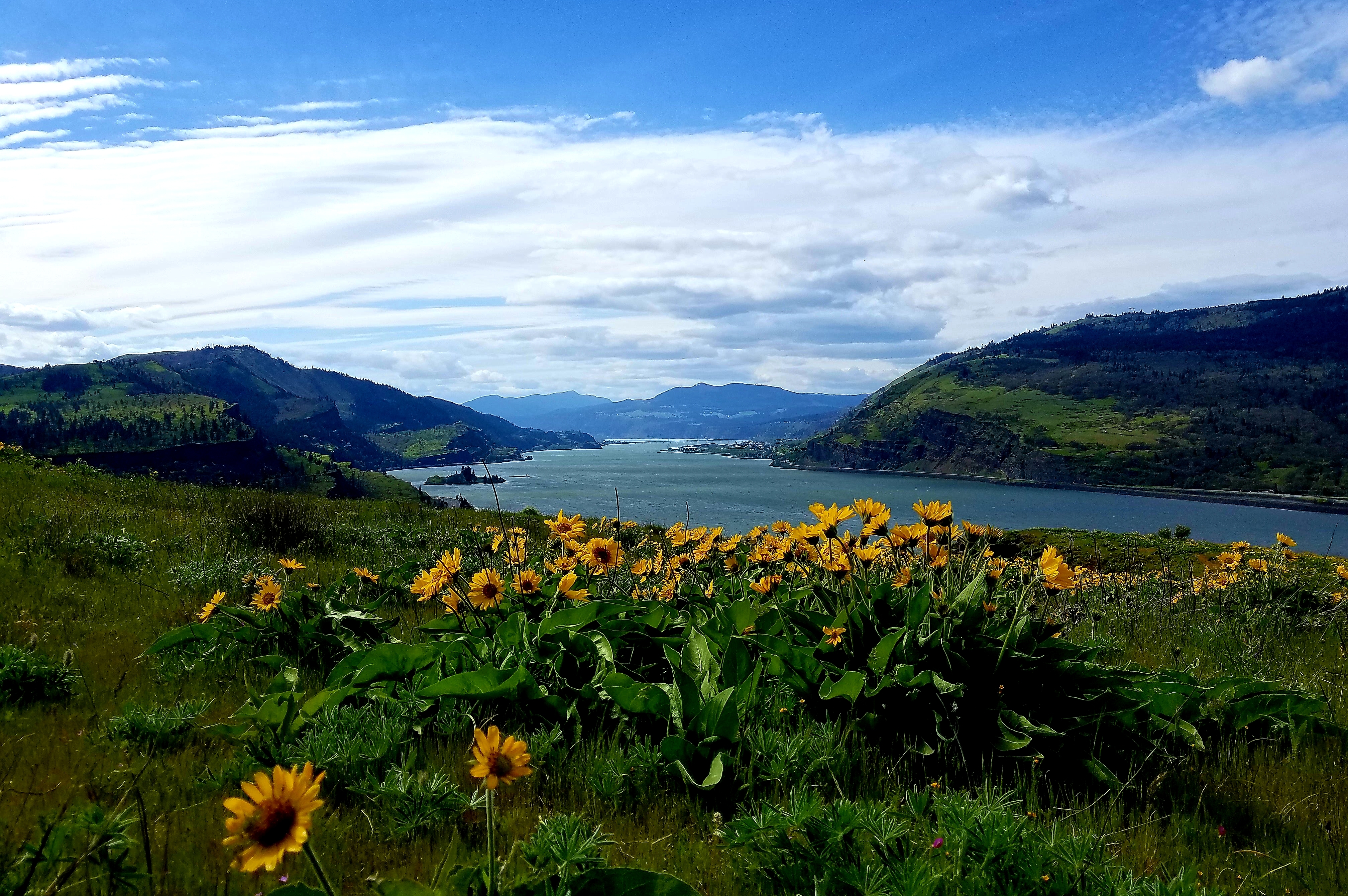 Columbia River  International Joint Commission