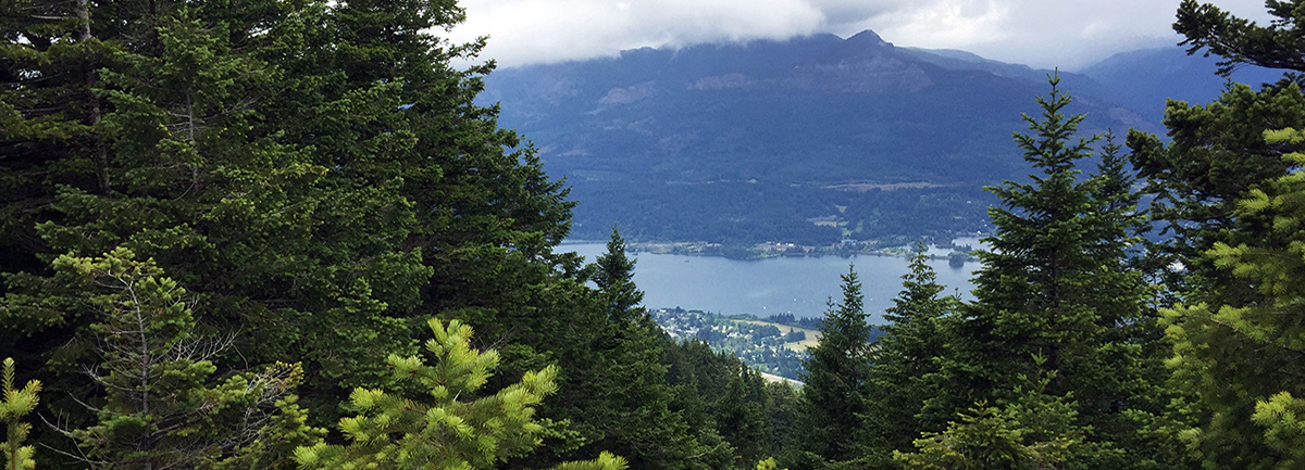 Benson Plateau Loop | Friends of the Columbia Gorge