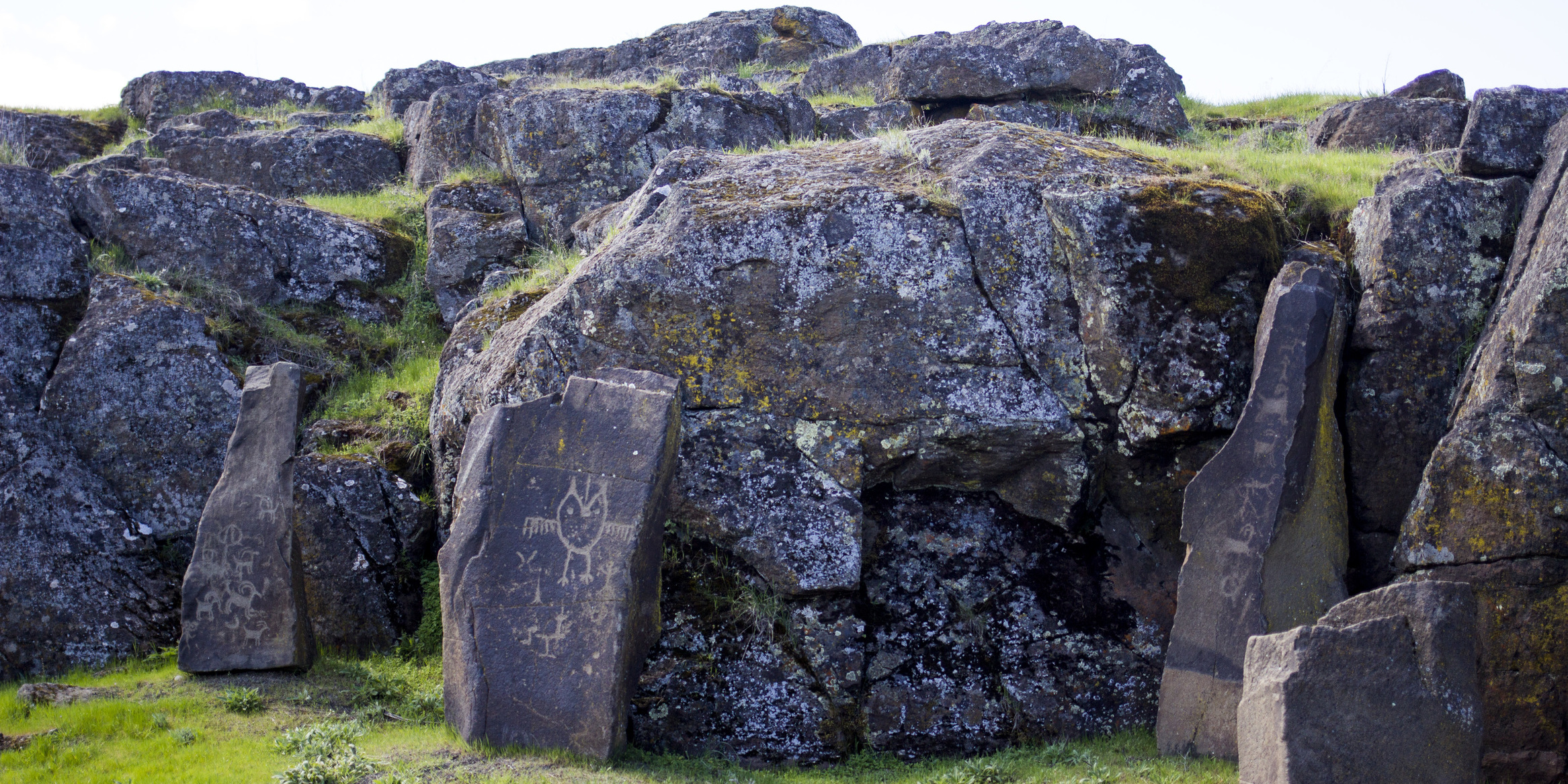 Columbia Hills Historical State Park