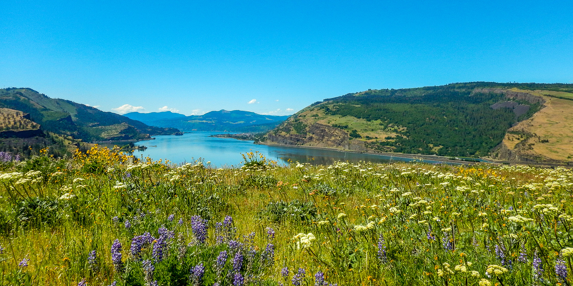 Columbia Gorge Trail: Mosier Plateau