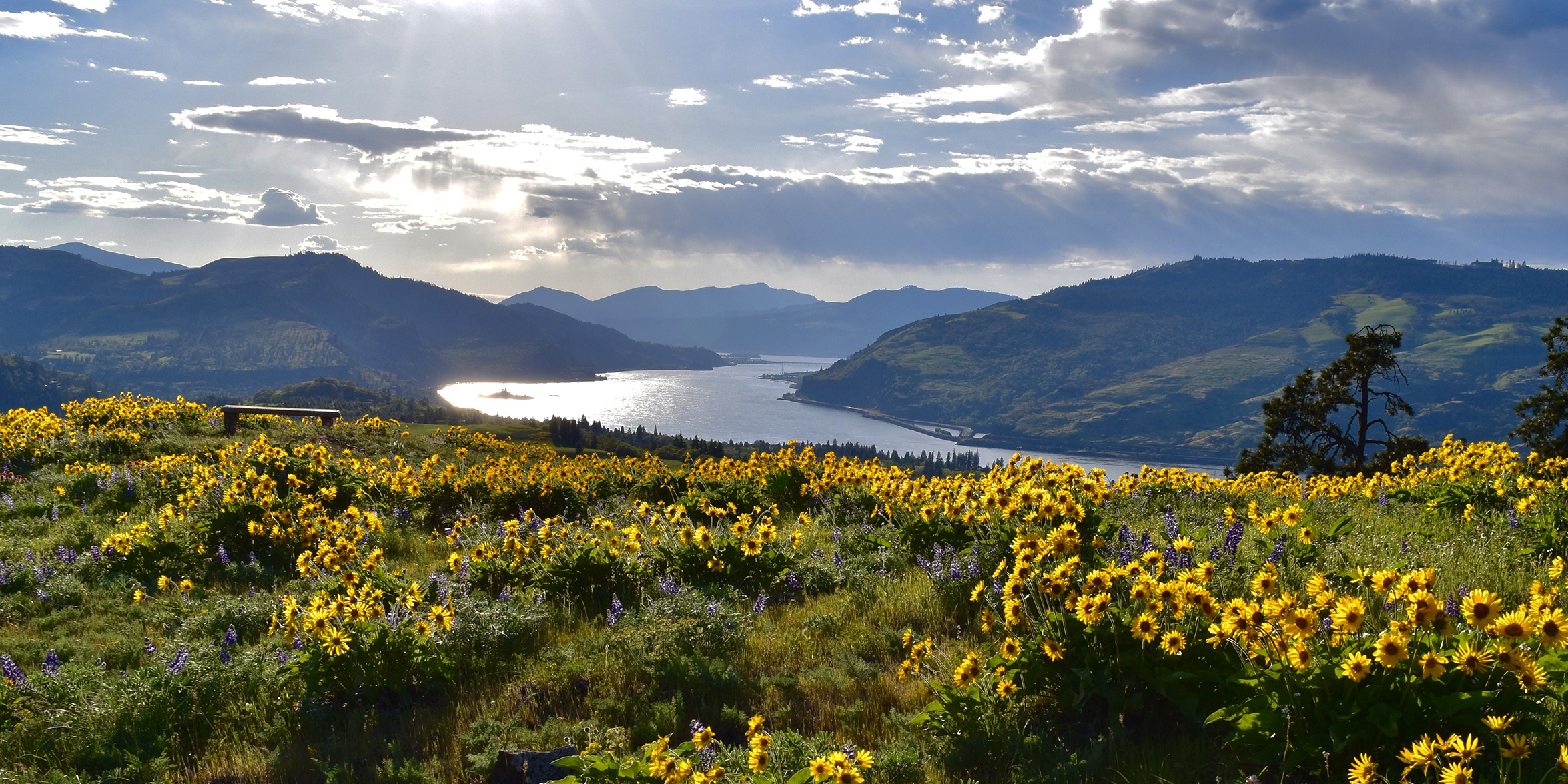 Hike With Friends  Friends of the Columbia Gorge