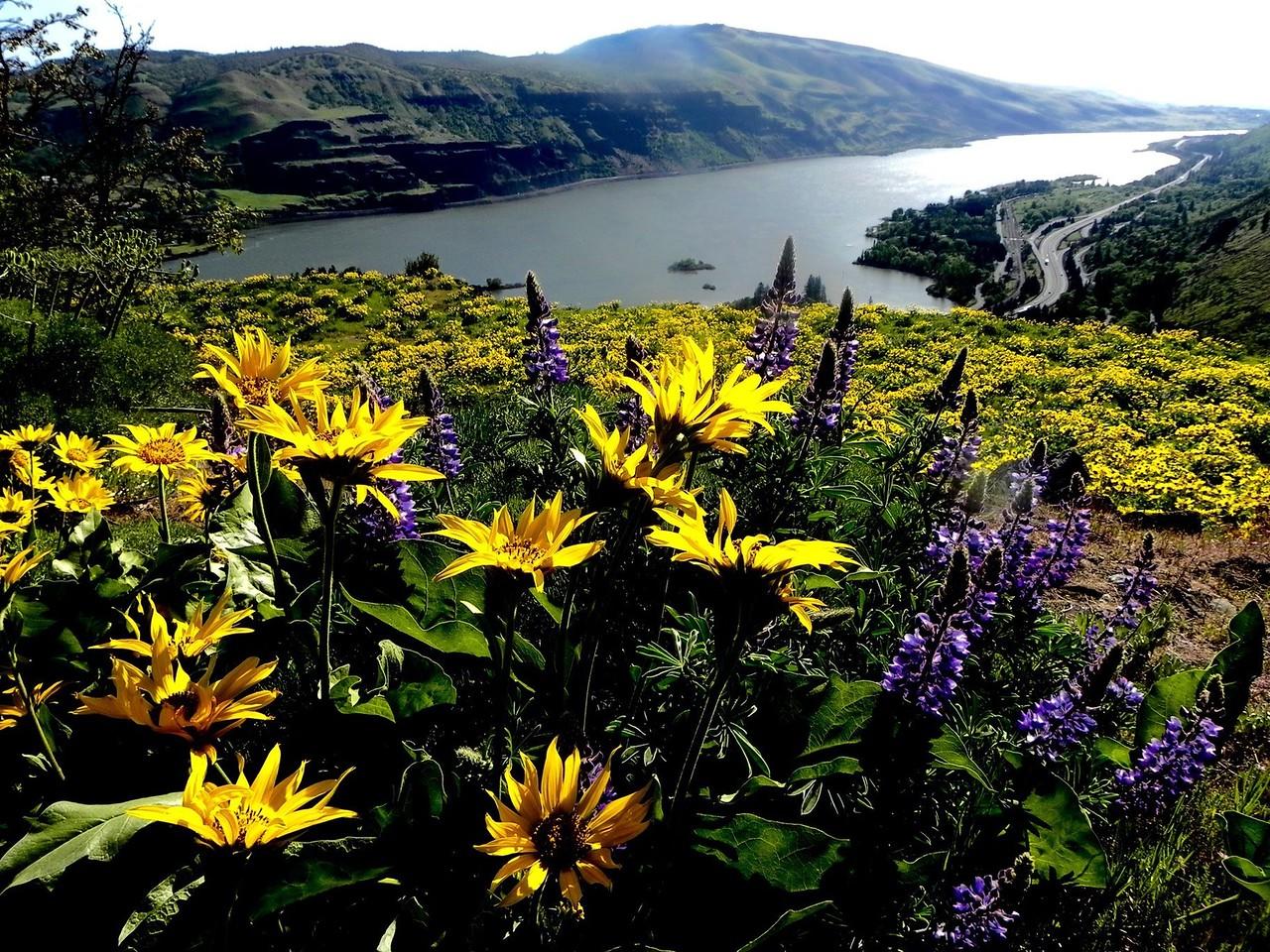 Tom McCall Point, Dancing in the Wind: Becky Rittel