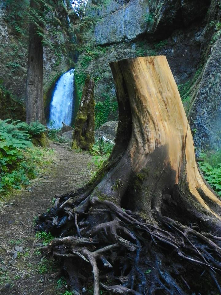 Time will heal, Wahclella Falls: Becky Rittel