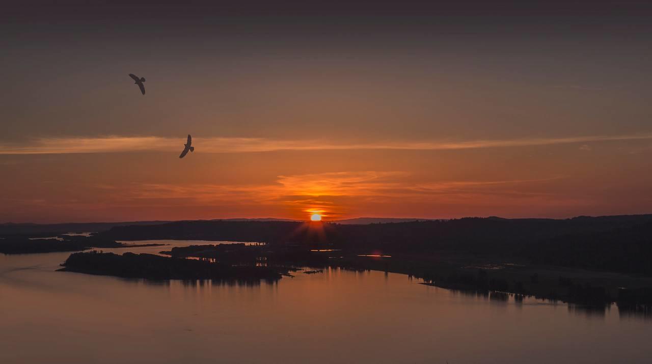 Crown Point, Birds taking flight at sunset: Kristi Craven