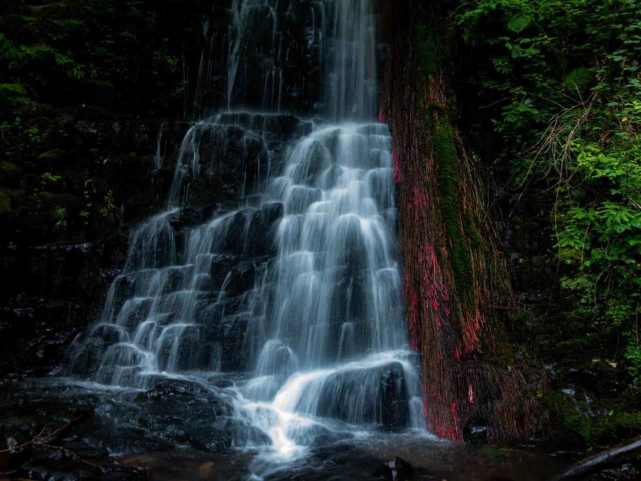 Coopey Creek, Color and light in the waterfall: Dennis Reichelt