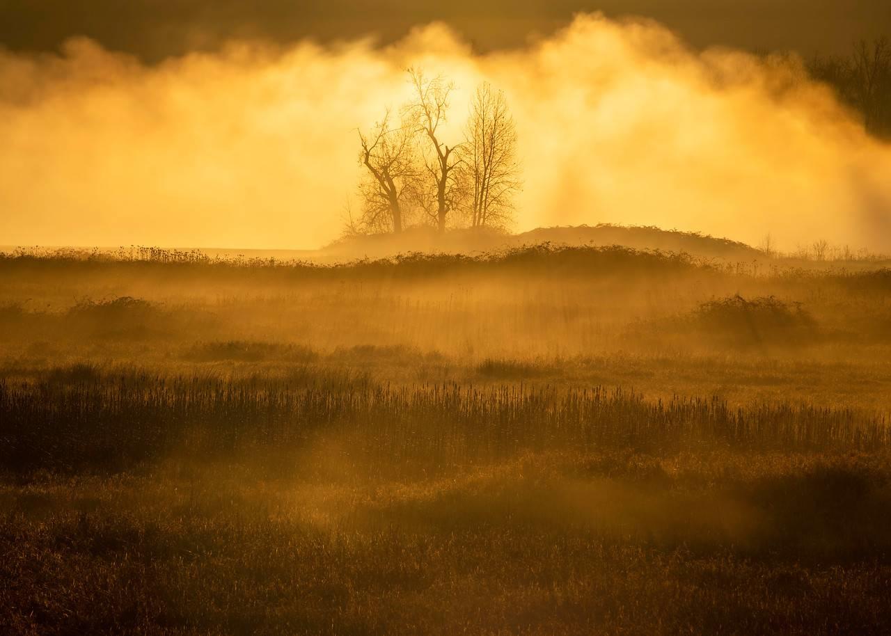 Steigerwald Lake National Wildlife Refuge, Sunrise & Fog: Cate Hotchkiss