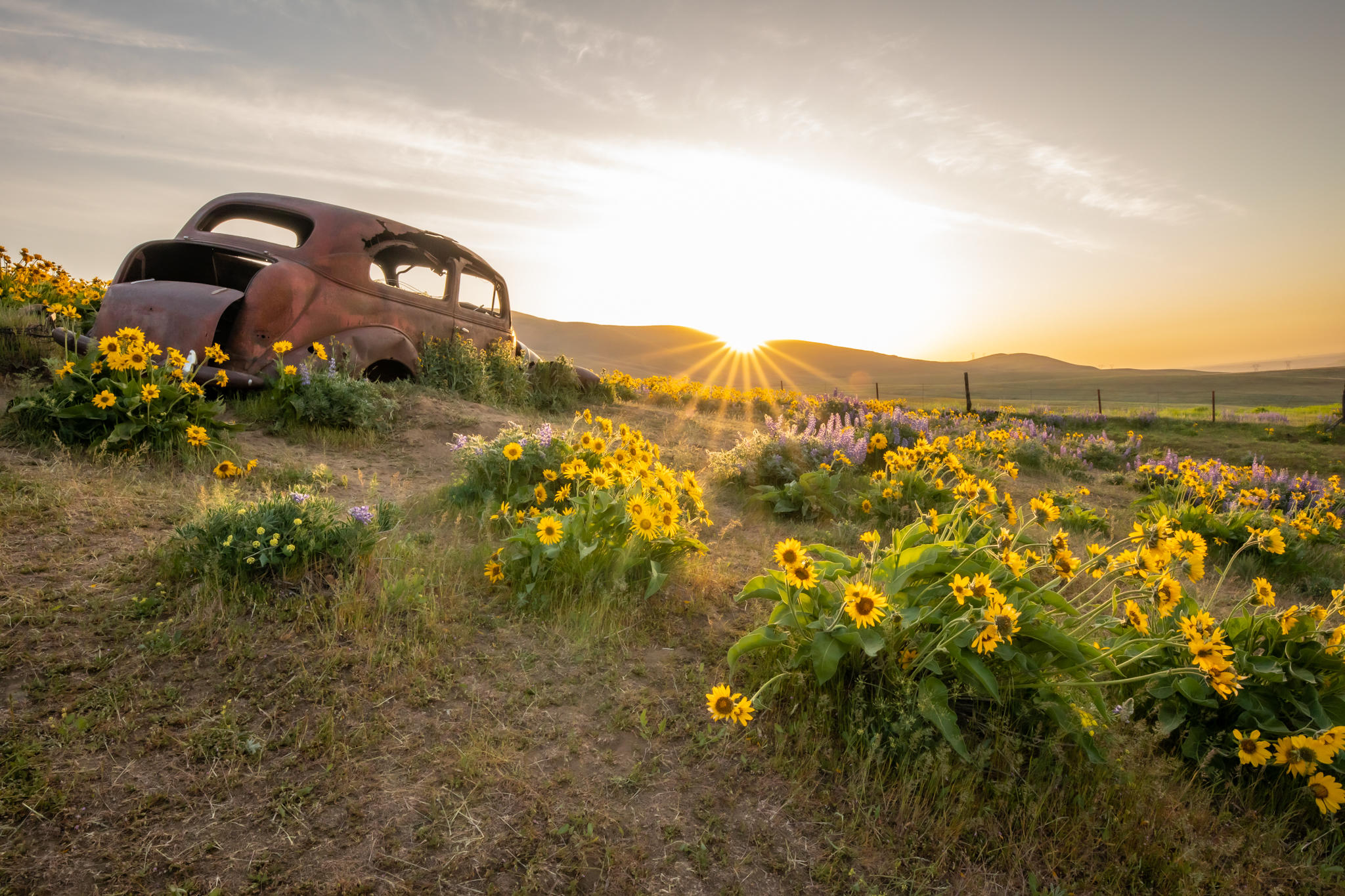 Justin Bernal / Dalles Mountain Ranch