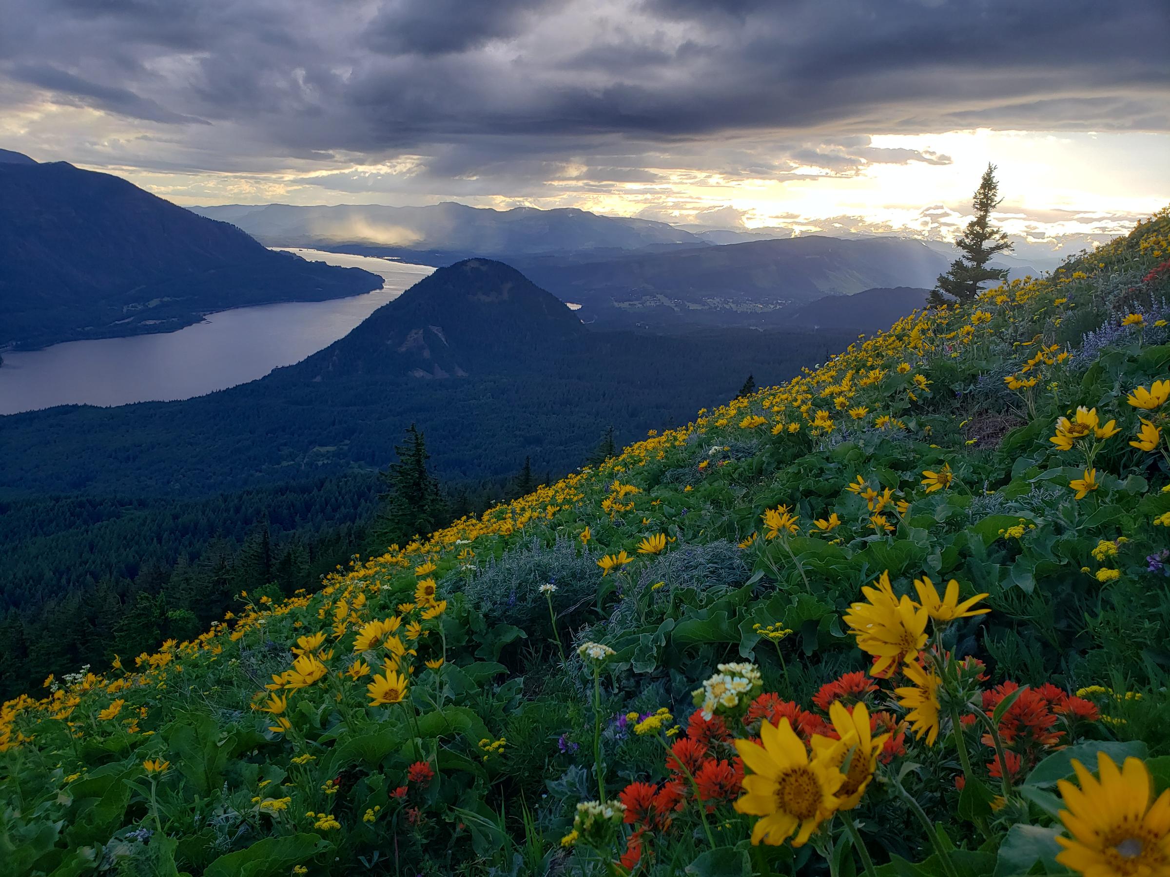 Honorable mention Carolyn Huber stormy spring evening on Dog Mtn.