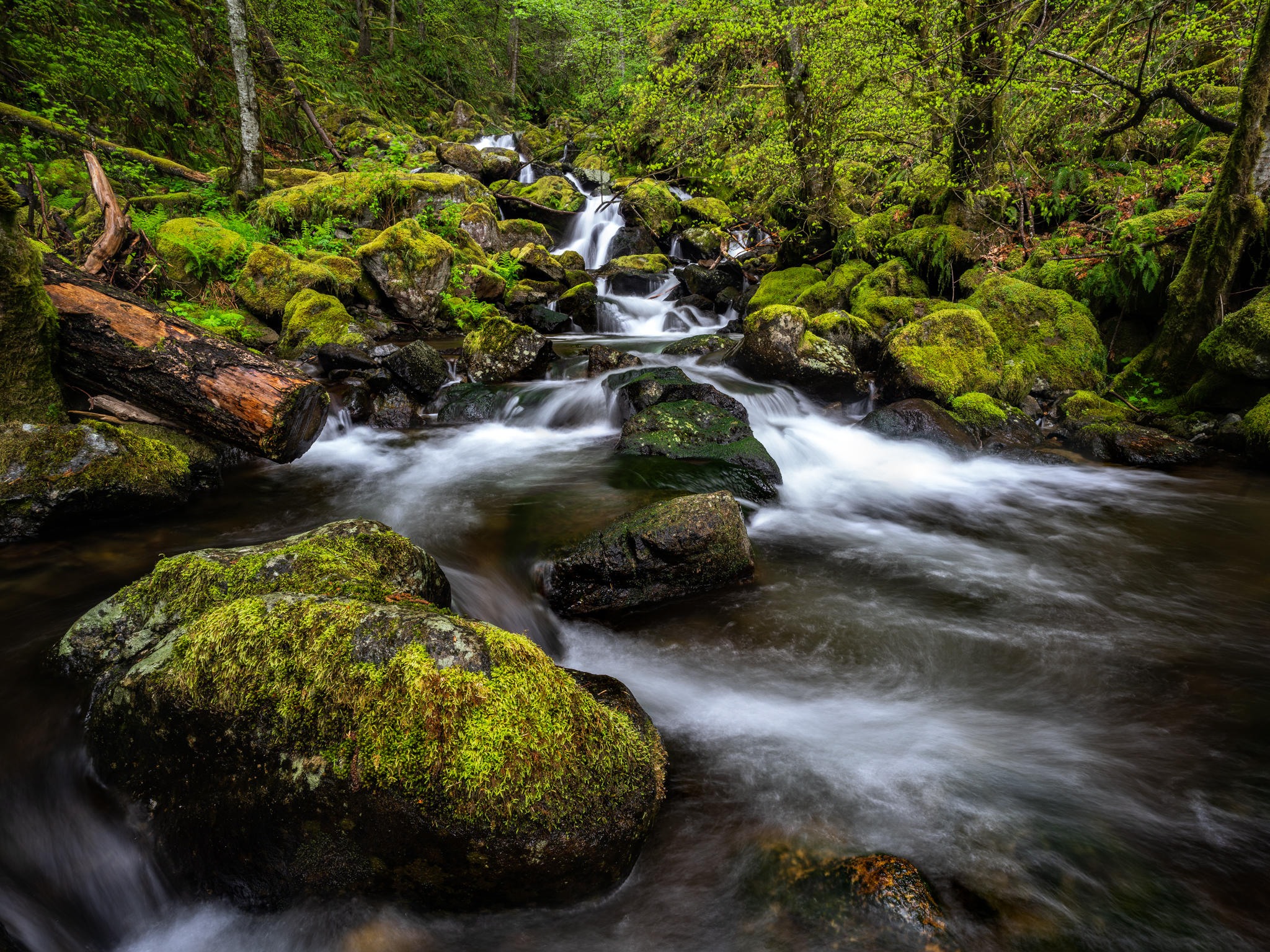 Robert Launder - Hardy Creek