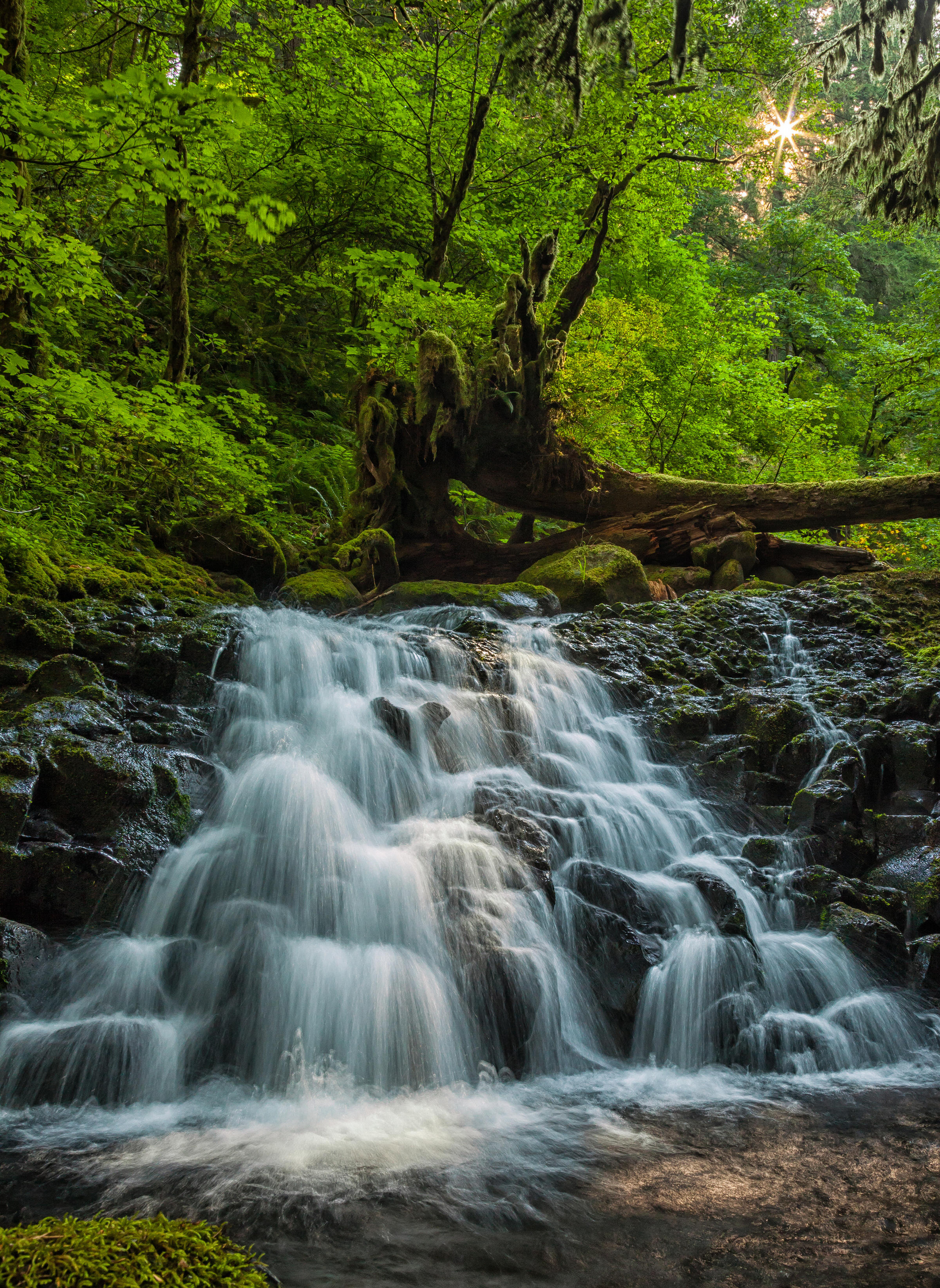 Waterfalls winner Daniel Rappaport unnamed falls Upper McCord Creek