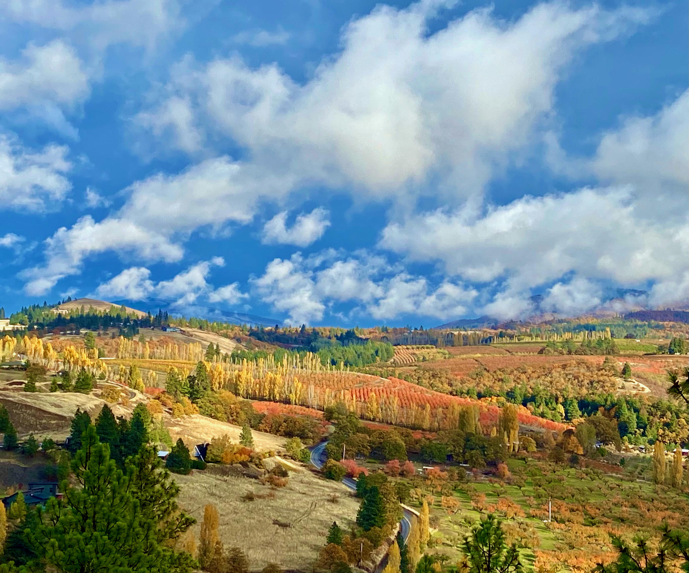 Myrna Anderson - Overlooking Mosier Valley in fall of 2021