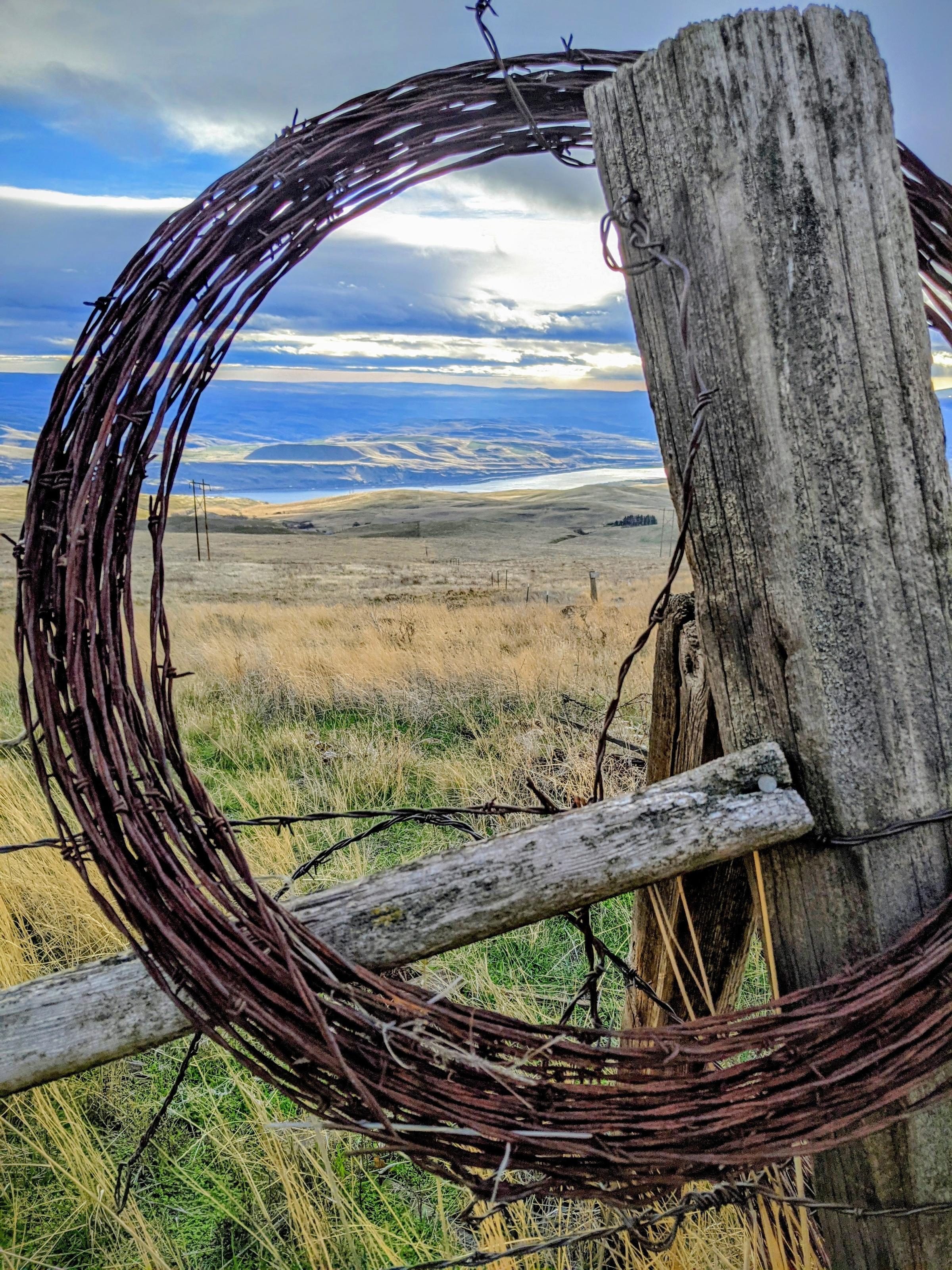 Meagan Currier / Dalles Mountain Ranch