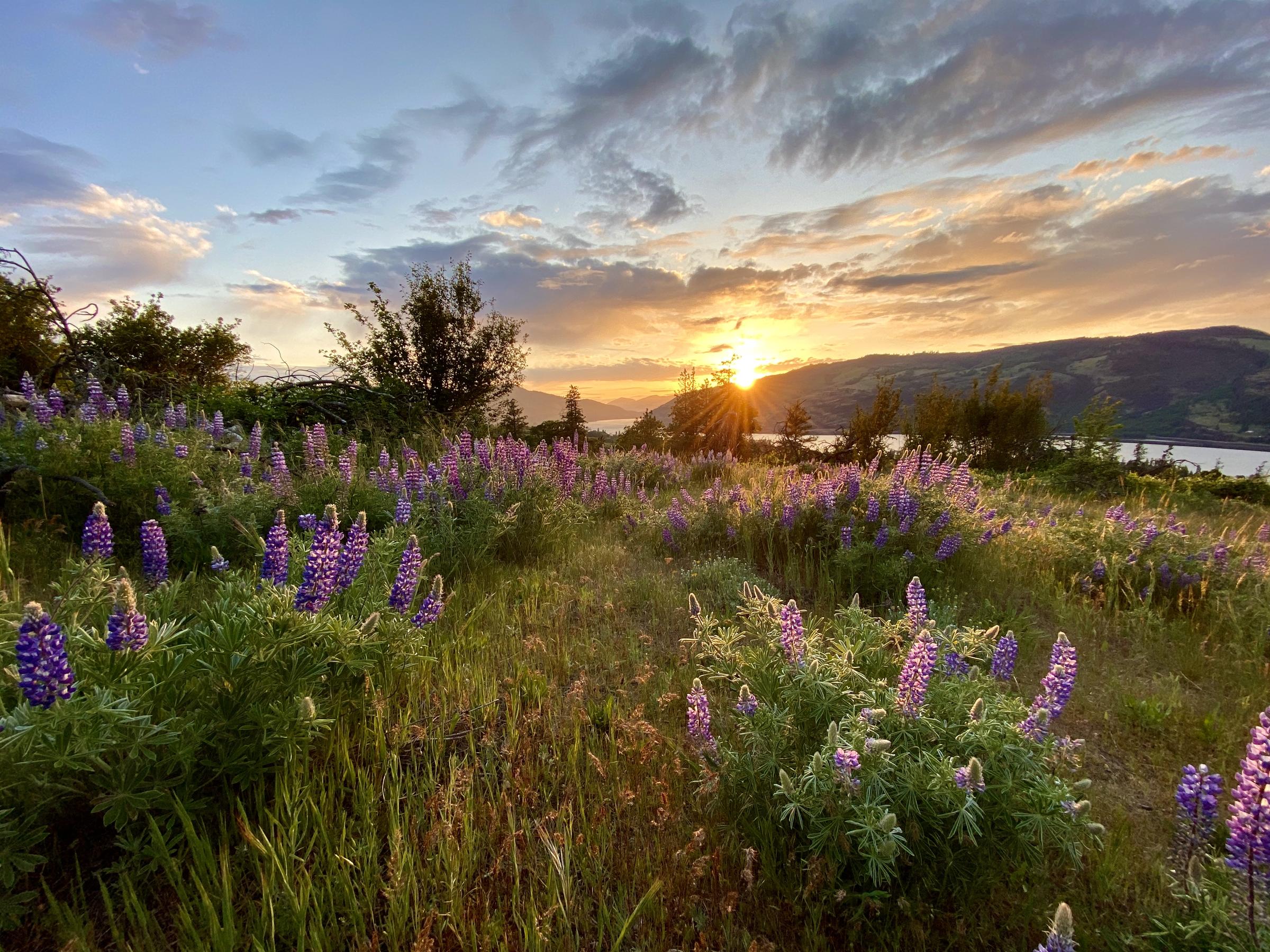 Honorable mention - Robert Meyers - Spring sunset from Memaloose Overlook