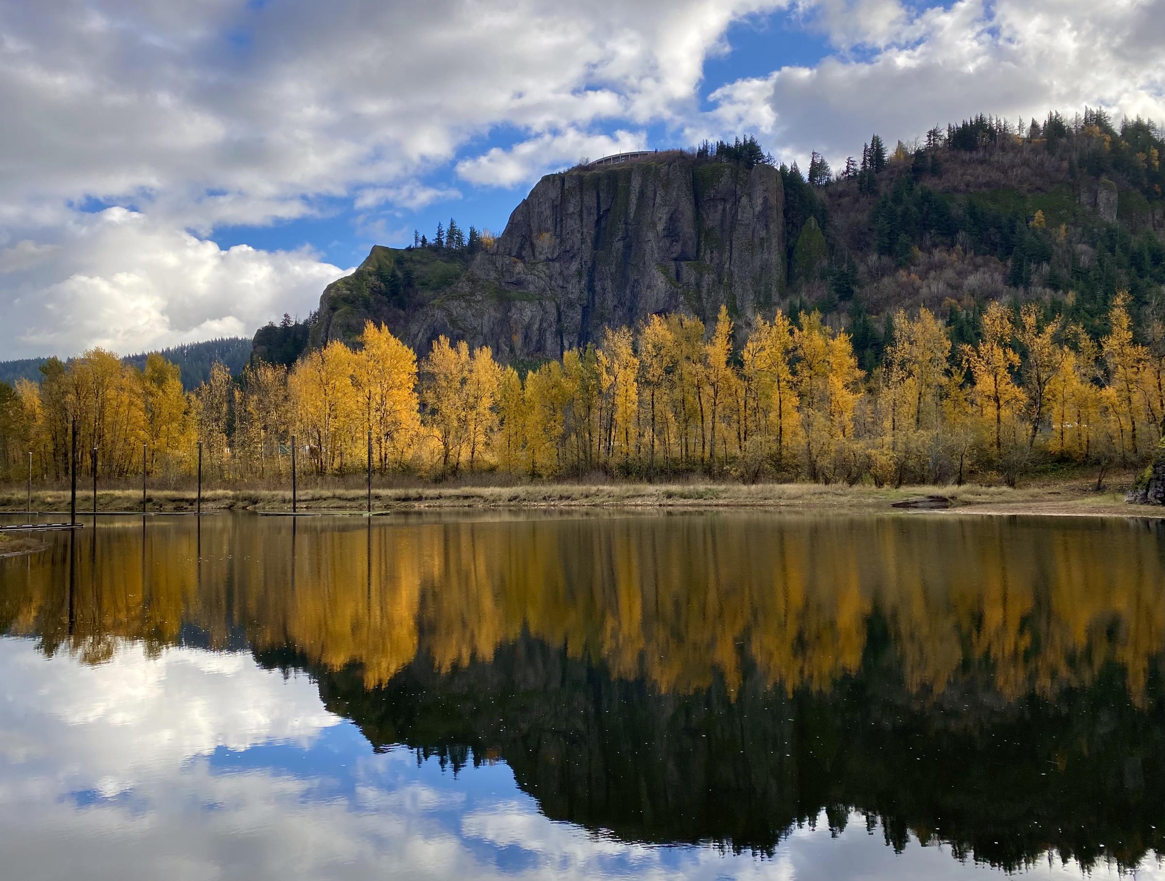 Robert Meyers - Columbia River backwater reflection in Autumn at Rooster Rock State Park