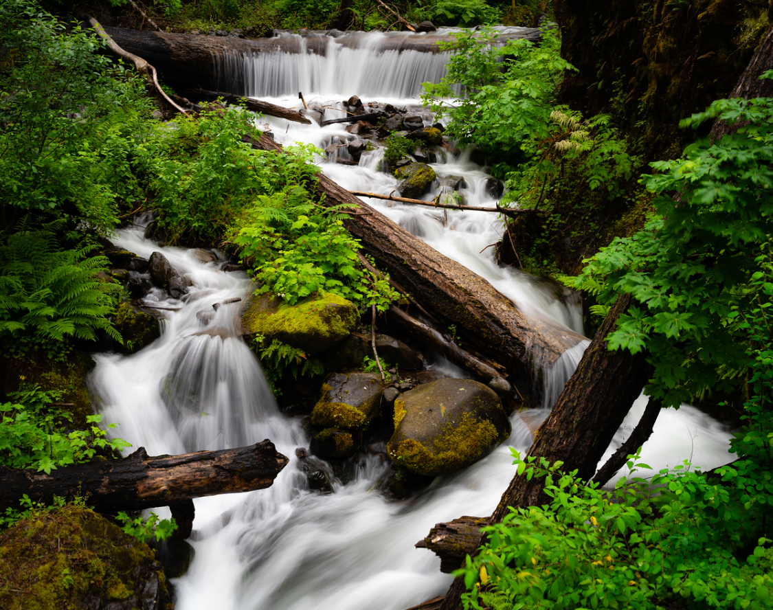 Honorable Mention Mini falls along Eagle Creek Trail