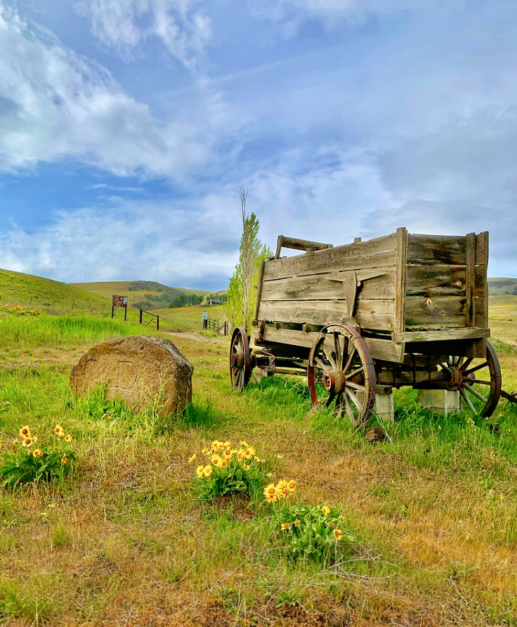 Dee Kathy finalist wagon Dalles Mountain Ranch