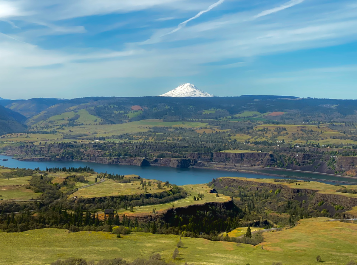 Sarnowski Julie finalist Mt Adams viewed from Tom McCall Preserve