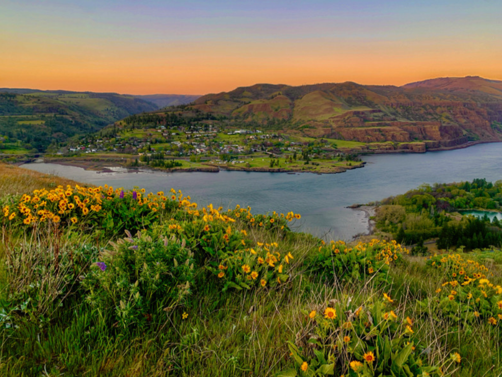 Dee Kathy finalist view of Lyle and Lyle Cherry Orchard from Oregon side