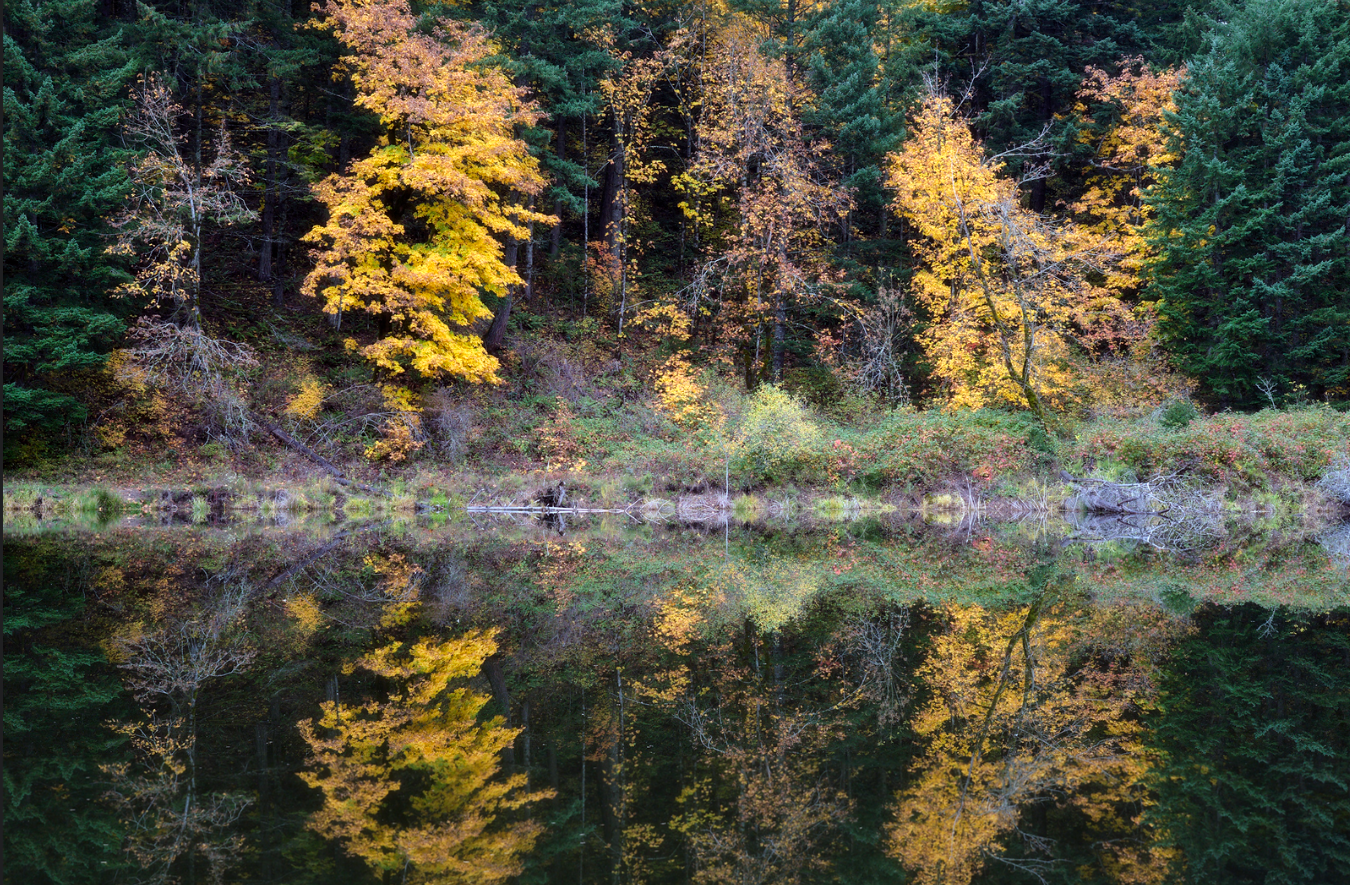 Carlson Harold finalist Autumn trees reflection on fishing pon near Bridge of the Gods