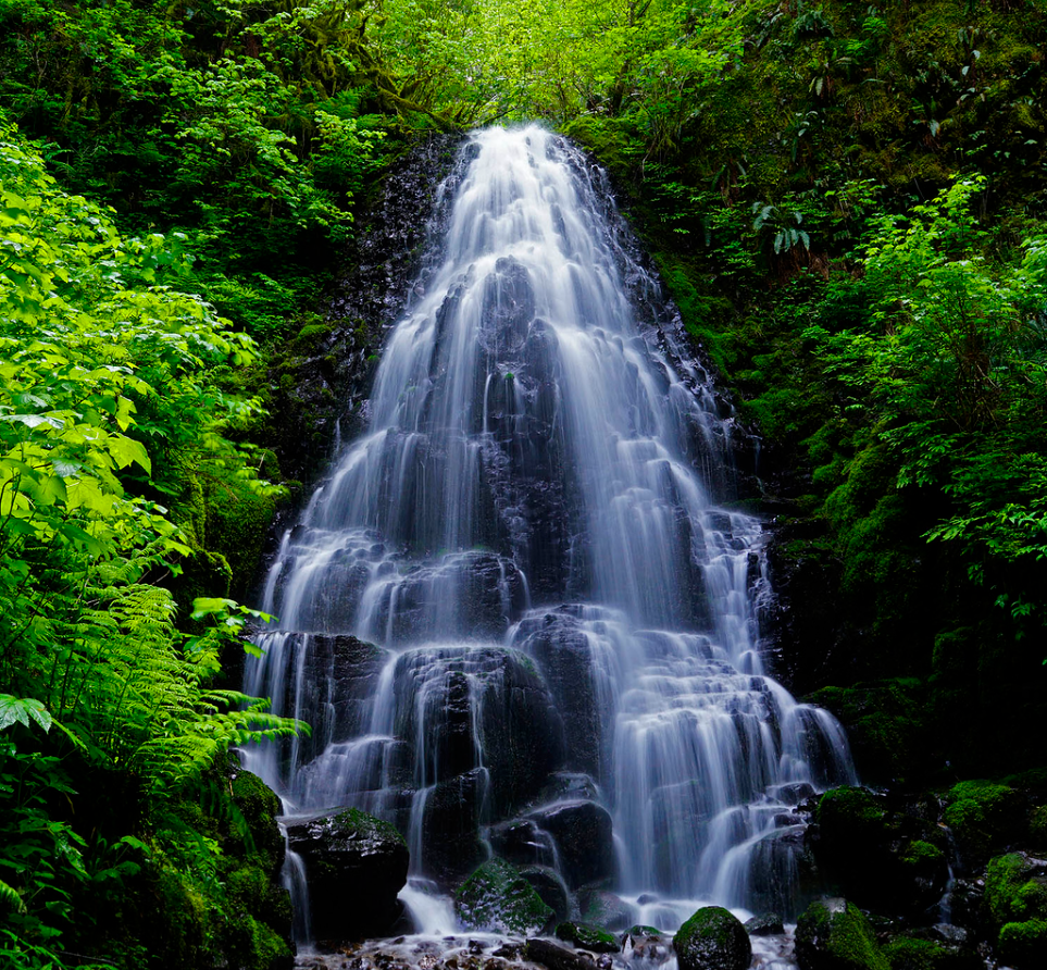 Hubard Ann finalist Fairy Falls