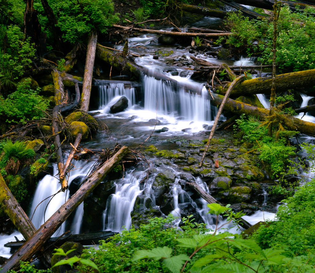 Platt Christian finalist Mini falls along the Wahkeena Falls Loop trail